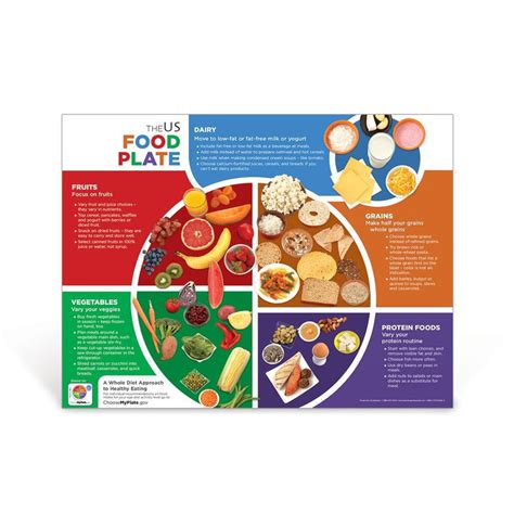 US Food Plate Poster | Nutrition Education | Visualz