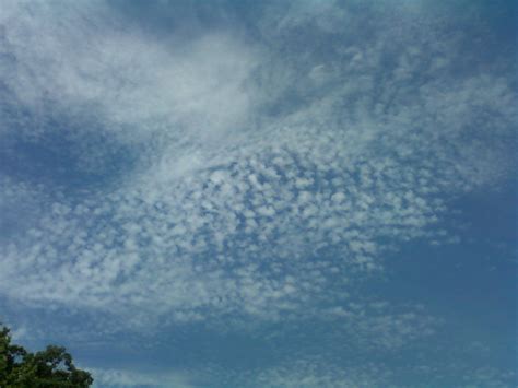 cirrocumulus with cirrostratus clouds | Clouds, Cirrocumulus clouds, Cirrostratus clouds