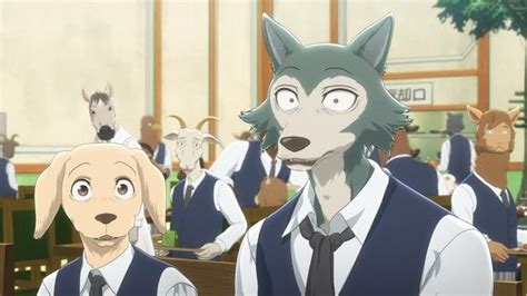 Beastars Proves Arousing Despite Its Niche Appearance