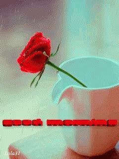 Good Morning Red Rose GIF - GoodMorning RedRose Cup - Discover & Share GIFs