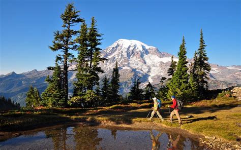 Mount Rainier National Park, Washington State • Explorer Sue - Your ...