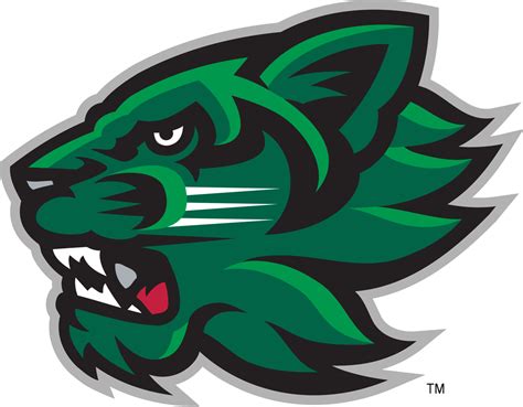 Binghamton Bearcats Secondary Logo - NCAA Division I (a-c) (NCAA a-c ...