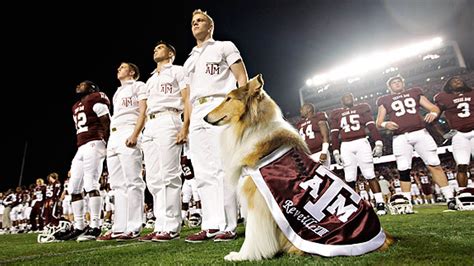 Butler's Blue II may have become a celebrity, but Texas A&M's mascot, Reveille, has been a star ...