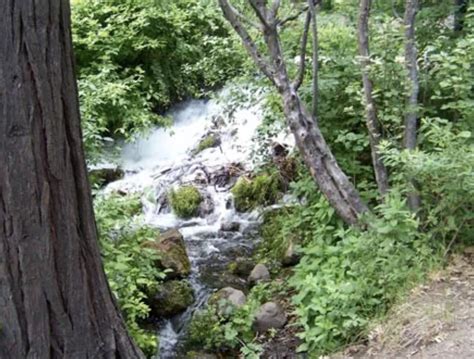 Headwaters Spring - Mt. Shasta Recreation and Parks District