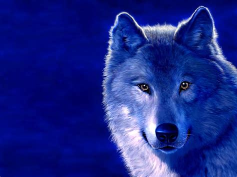 Cool Pictures of Wolves Wallpapers - WallpaperSafari