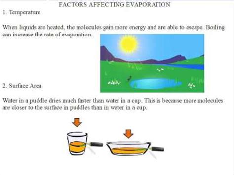 Evaporation Surface Area