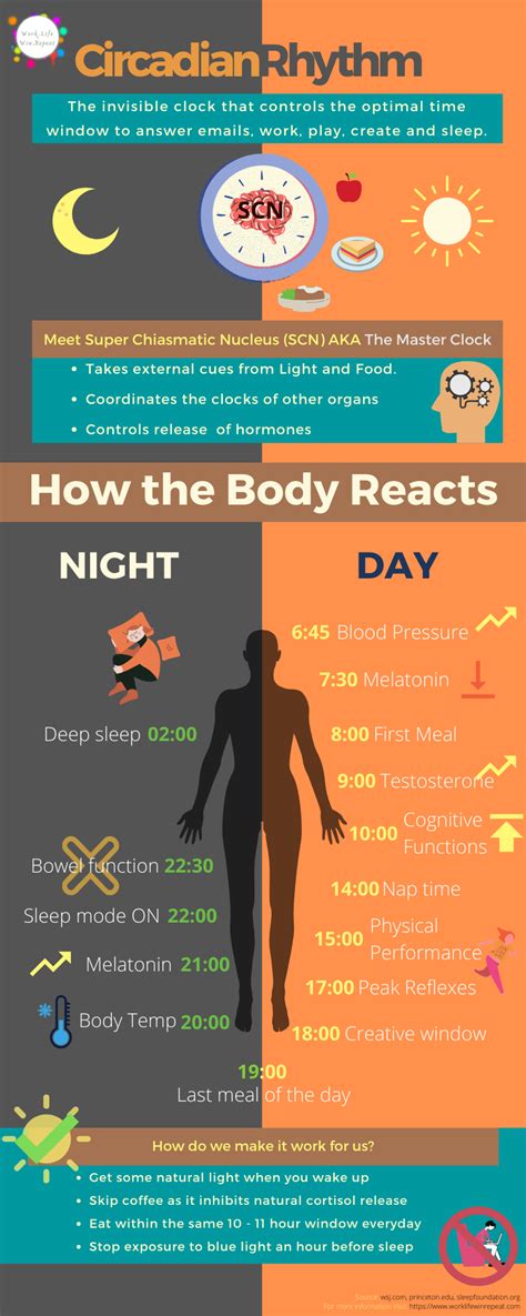 A "Circadian" Boost to Work Life Balance - Work Life Win Repeat