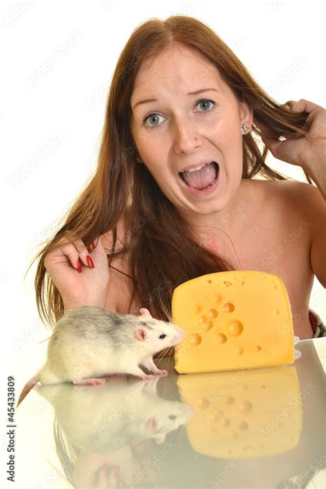 rat eating cheese Stock Photo | Adobe Stock