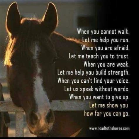 Weheartit Horse Quotes