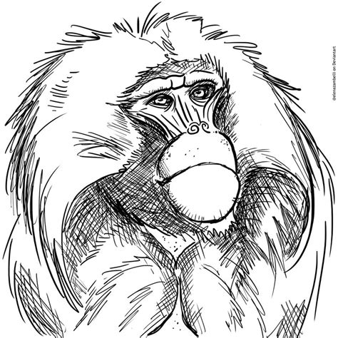 Gelada baboon drawing by ElenaZambelli on DeviantArt