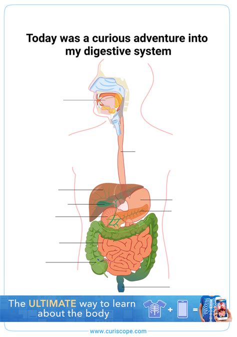 To The Teachers... | Biology for kids, Education, Learning science