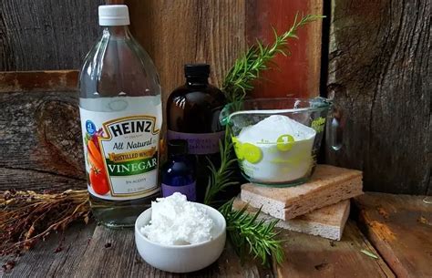 Six Natural Cleaning Ingredients | HomeCleanExpert.com