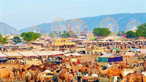 Glorious Tales: Experience the Essence of Pushkar Camel Fair 2023 ...