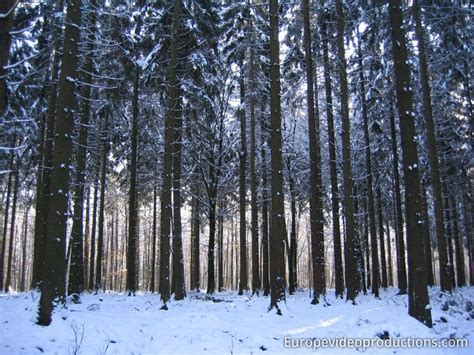 Les Montagnes de l’Ardenne en Wallonie en hiver | Belgique tourisme, Ardennes, Ardennes belges