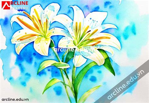 Hướng dẫn vẽ hoa bằng màu nước cực kỳ đơn giản | ArcLine