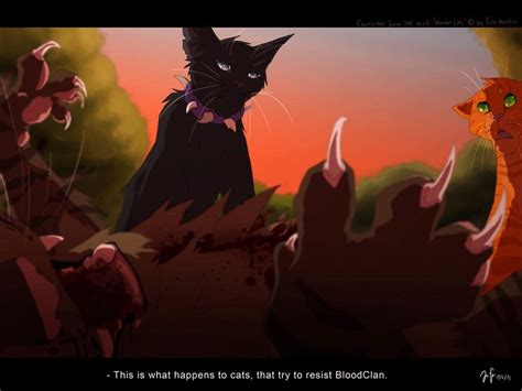 Was Tigerstar's Death Realistic? |DbC Weekly| | Warriors Amino