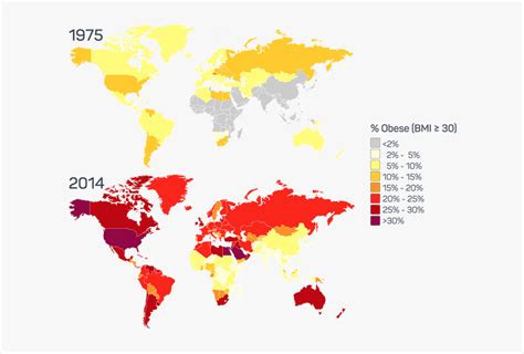 Obesity - World Map, HD Png Download - kindpng