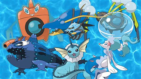 The Cutest Water Pokémon, Ranked