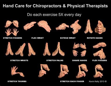 Pin by Tony Sikorski on Live Love Learn Chiropractic | Arthritis exercises, Hand exercises for ...