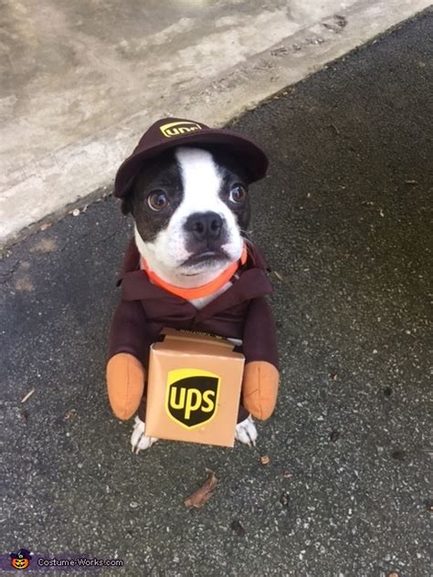 UPS Dog Costume