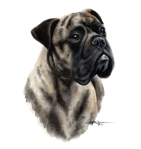 BULLMASTIFF BRINDLE Dog Art Print Signed by Artist by k9artgallery