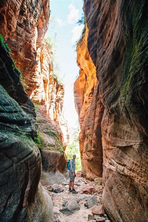 4 Hikes to Beat the Crowds in Zion National Park - Fresh Off The Grid