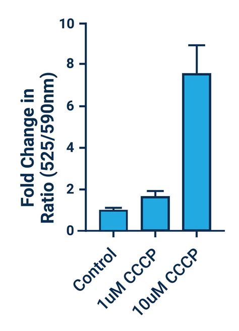 Mitochondrial Membrane Potential Assay Kit (with JC-1) (AKES067) | Assay Genie