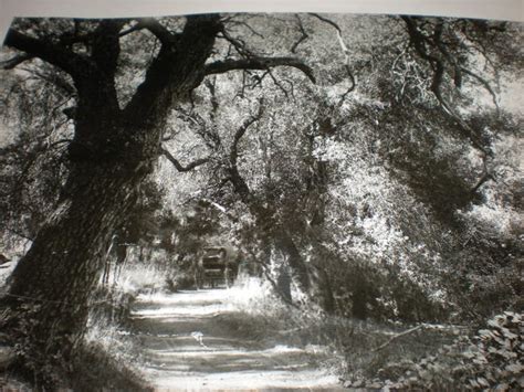 Roads Complement the History of Ramona | Ramona, CA Patch