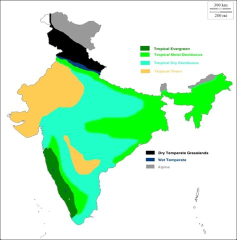 Natural Vegetation of India Iasmania - Civil Services Preparation Online ! UPSC & IAS Study ...