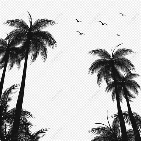 Coconut Tree Silhouette Border, Tree, Silhouette Border, Birds Free PNG And Clipart Image For ...