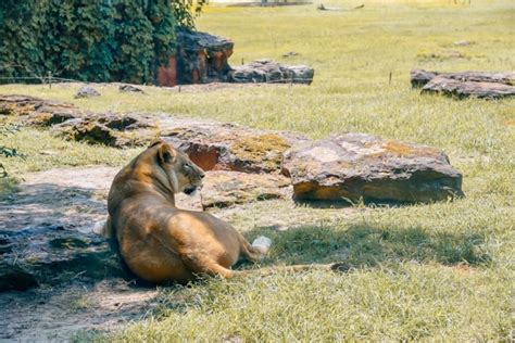 Caldwell Zoo in Tyler, TX: 5 reasons to visit this local zoo - Jasmine Alley