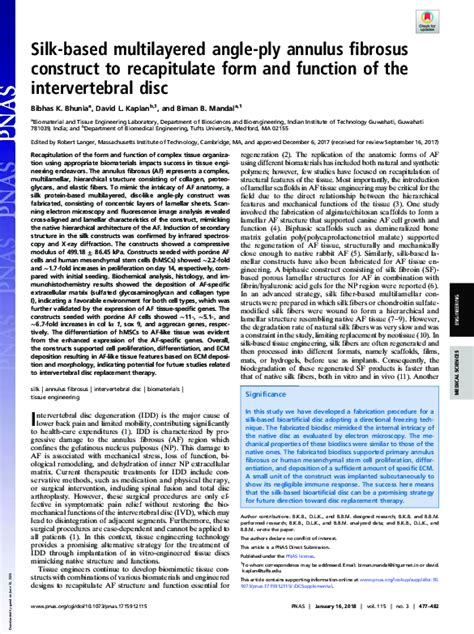 (PDF) Silk-based multilayered angle-ply annulus fibrosus construct to recapitulate form and ...