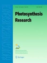 Modelling of the cathodic and anodic photocurrents from Rhodobacter sphaeroides reaction centres ...