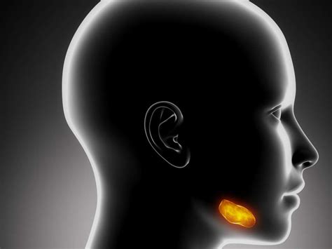 Salivary gland infections: Causes, types, symptoms, and treatment