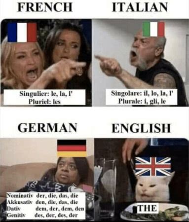 7 English memes explained - English Online