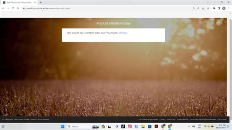 Solved: Adobe Stock contributor account has been de-activa... - Adobe Community - 14290825