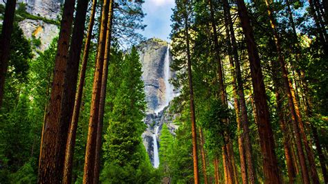 Luxury Yosemite National Park Holidays 2024/2025 | California National Parks | Abercrombie & Kent