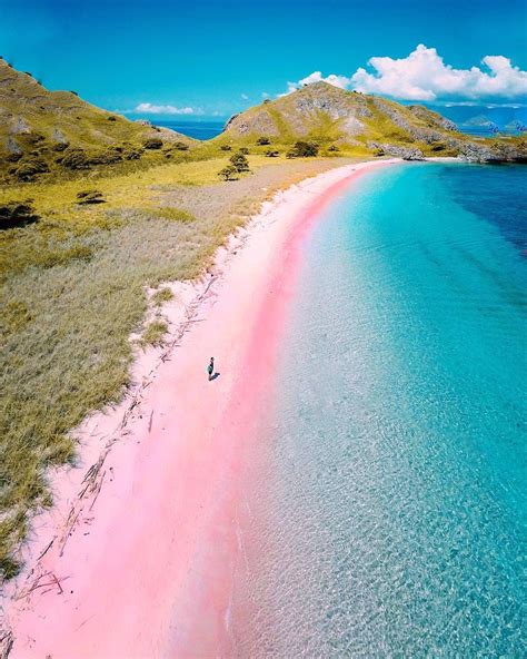 A pink beach, Komodo Island, Indonesia : r/woahdude