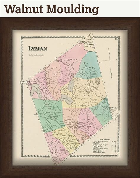 Town of LYMAN, Maine 1872 Map