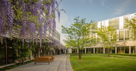 Schulich School of Business Archives - Campus Guides