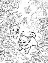 30 Free Spring Coloring Pages  Brighter Craft In 2024 Cute coloring sketch template
