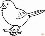 Vogel Kleurplaten Oiseau Vogels Ausmalbild Kleurplaat Reproduire  sketch template