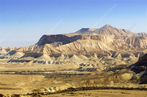 Negev Desert, Israel - Stock Image - C007/6706 - Science Photo Library