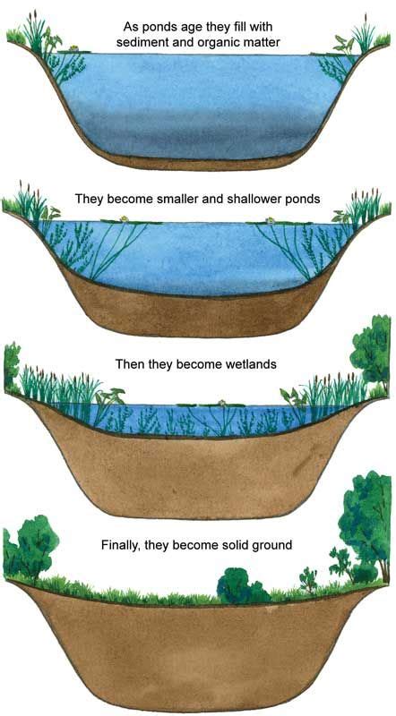 Pin by Pase on Flash cards | Science and nature, Earth science lessons, Fun science