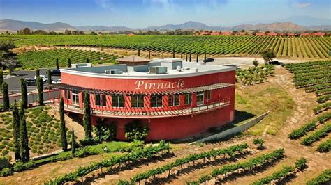 Wineries in Temecula With the Best Views | Aall In Limo & Party Bus