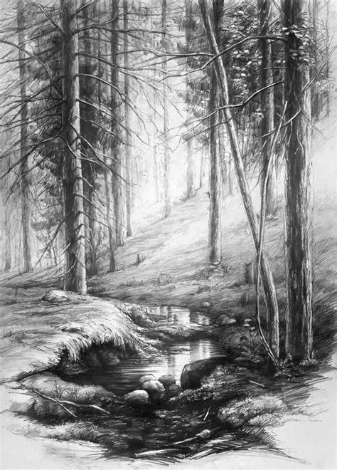 Enchanting Forest Interior Drawing