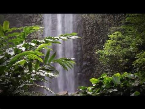 Re-launch of the Waterfall Aviary, Jurong Bird Park. - TODAY