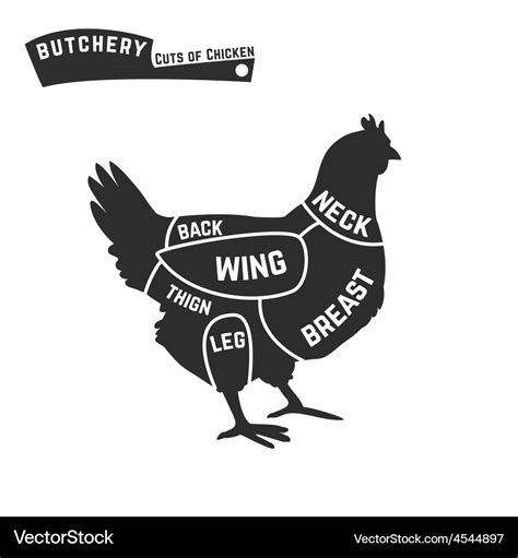 Cuts of chicken butcher diagram Royalty Free Vector Image