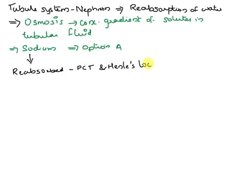 SOLVED: In the kidneys, osmosis is the process for the reabsorption of: a. amino acids b ...