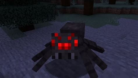 Minecraft Newest Size Changes Bring Horrifying Realistic Spider! – Roonby